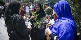 دستگاه‌ها و گروه‌های مردمی برتر در حوزه عفاف و حجاب معرفی شدند