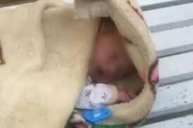 آماری از «نوزادان رها شده» در تهران