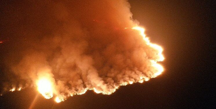  عکس و فیلم دیده نشده از آتش‌سوزی ۴۰ هکتاری در تالاب بین‌المللی انزلی 