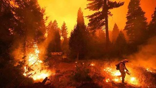 گسترش آتش سوزی در کالیفرنیا