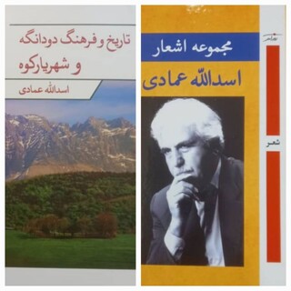 از کتاب "تاریخ و فرهنگ دودانگه و شهریارکوه" رونمایی شد