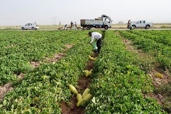 افزایش حداقل ۱۰۰ درصدی تعرفه های صادراتی محصولات آب بر