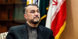 امیرعبداللهیان درگذشت «رضا روستا آزاد» را تسلیت گفت