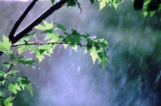 تهران خنک می‌شود