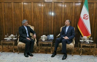 بررسی آخرین وضعیت گسترش روابط سیاسی و اقتصادی ایران و زیمبابوه