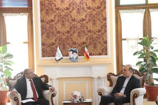 مدیرکل بین‌الملل مجلس :ایران از برقراری صلح در مرزهای ارمنستان و آذربایجان حمایت می‌کند