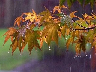 بارش باران در برخی استان‌های کشور پیش بینی شد