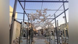 سوریه پس از ۱۲ سال جنگ میزبان کبوترهای سفید شد