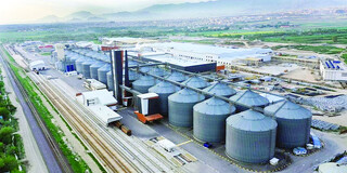 فراوری غلات دنیا در کارخانه‌های ایرانی