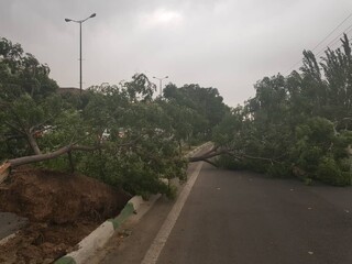 آماده‌باش هلال احمر