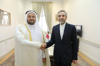 معاون وزیر امور خارجه قطر با باقری دیدار و گفتگو کرد