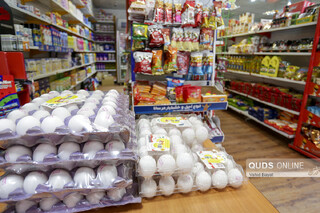 مردم گرانفروشی تخم مرغ را گزارش کنند