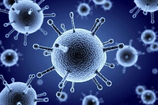 شش نکته مهم درباره آنفلوآنزا