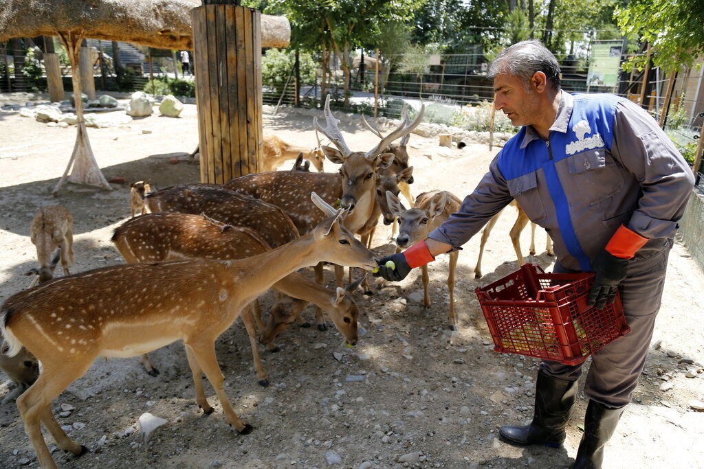 پرخورترین حیوان باغ وحش تهران چیست؟