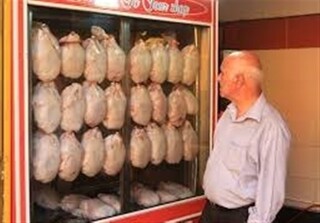 انتقاد به افزایش قیمت گوشت قرمز و مرغ در استان کردستان