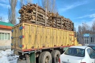 ۷۲ خودروی حمل چوب قاچاق در قزوین شناسایی و توقیف شد