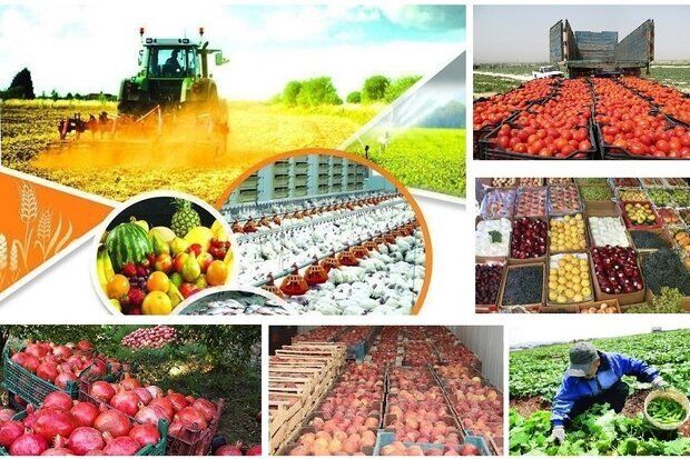 تولید سالانه ۱۲۲ میلیون تن انواع محصولات کشاورزی در کشور