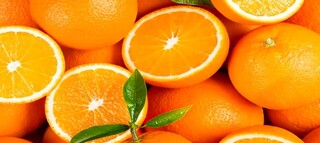 سرما پرتقال را گران کرد