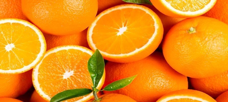  سرما پرتقال را گران کرد