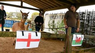 یک پیشگویی: ایران برابر انگلیس پیروز می‌شود