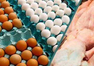 کویت واردکننده مرغ و تخم مرغ ایران شد