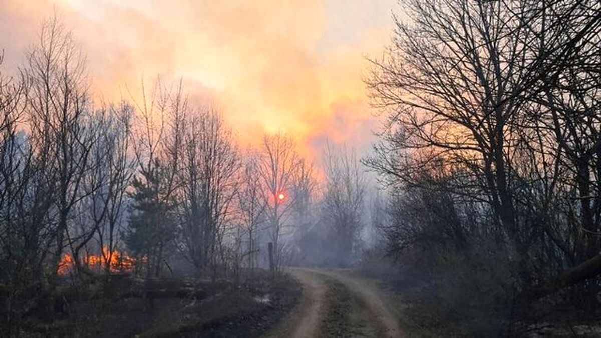 ۳۲ هزار متر مربع از جنگل های مازندران در آتش سوخت
