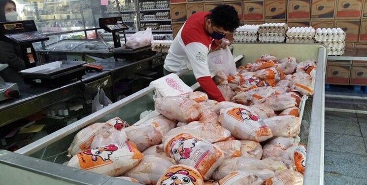 قیمت مرغ در بازار خراسان رضوی به کیلویی ۳۲ هزار تومان رسید