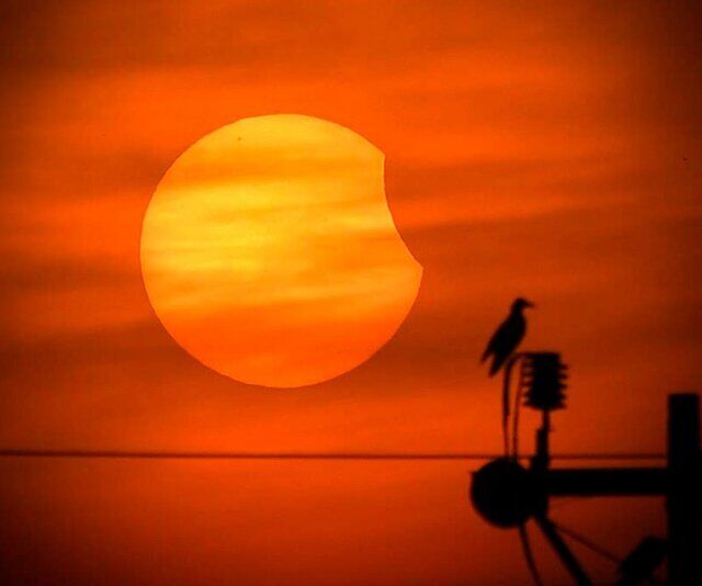 چهار باور نادرست که هنوز آنها را درست میدانید