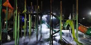 دستگیری عاملان آتشسوزی پارک ملت سرخه