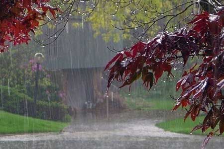 بارش باران در پایتخت | کاهش دما از ۱۰ آذر