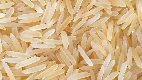عراق، ایران، عربستان، امارات و یمن خریداران دوسوم برنج باسماتی هند