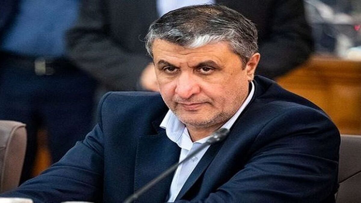 رئیس سازمان انرژی اتمی وارد خوزستان شد