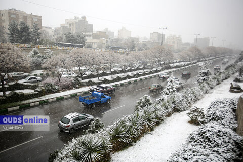 گزارش تصویری I اولین برف پاییزی در مشهد