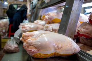 قیمت عمده مرغ در میادین به ۴۷هزار تومان رسید