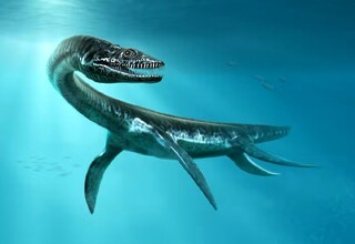  کشف فسیل یک هیولای دریایی ۱۰۰ میلیون ساله در استرالیا + عکس