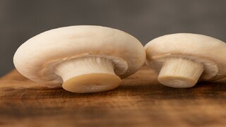 ۴ دلیل شگفت انگیز برای گنجاندن بیشتر قارچ به رژیم غذایی