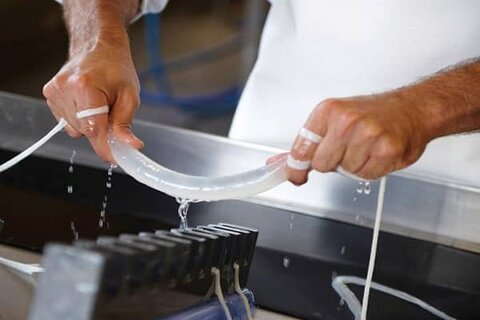 صادرات «روده»؛ ارزآور؛ اما مغفول مانده/ ثابت مانده توان صادراتی ایران طی یک دهه گذشته!