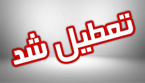 مدارس مشهد تا پایان هفته تعطیل شد/ ادارات دورکار شدند