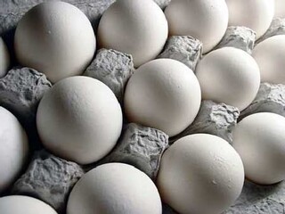 پلمب کارگاه بسته‌بندی و تغییر تاریخ مصرف تخم‌مرغ‌های فاسد