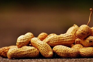 پژوهشگران آمریکایی: آلرژی غذایی می‌تواند عامل اختلالات رفتاری باشد
