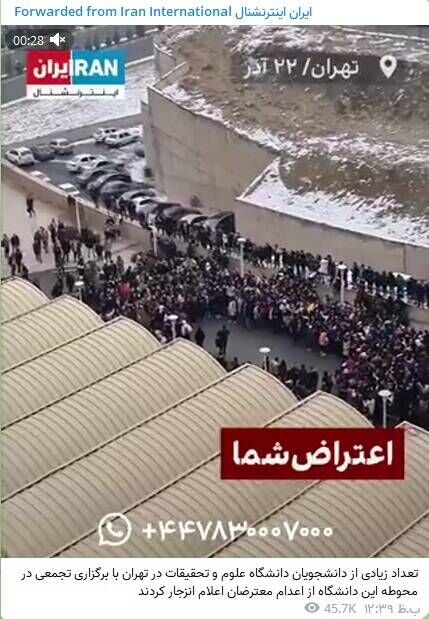 گاف مجدد اینترنشنال/ وقتی فیلم خواستگاری را اعتراضات مینامند+ عکس و فیلم