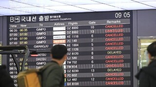 برف سنگین منجر به لغو پروازها و بسته‌شدن راه‌ها در کره‌جنوبی شد