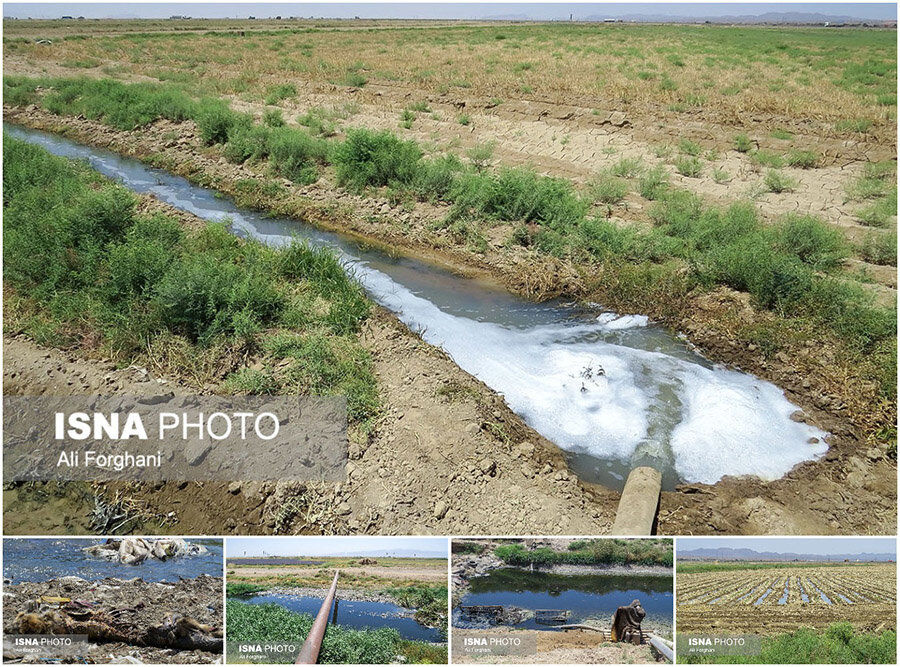 بیش از ۹۰ درصد مصرف آب استان اردبیل در بخش کشاورزی است
