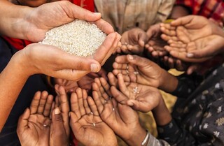 رتبه ۲۹ ایران در شاخص گرسنگی جهانی