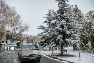 بارش برف در ۳ محور استان سمنان/ رانندگان احتیاط کنند