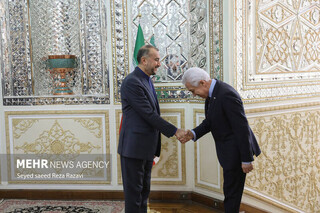 عکس/ دیدار رییس گروه دوستی پارلمانی ایران و روسیه