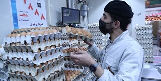 هنوز نرخ مصوب تخم‌مرغ اعلام نشده است