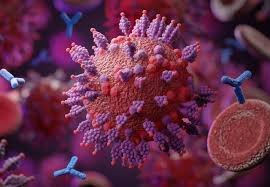 مینو محرز: بازگشت مجدد کرونا را جدی بگیریم/ سویه های جدید اومیکرون در راه است