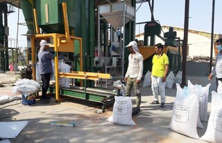 ۷۳۰ تُن بذر گندم اصلاح شده در هرمزگان توزیع شد