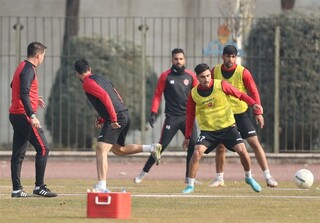 تمرین و ریکاوری پرسپولیسی‌ها در ۲ گروه